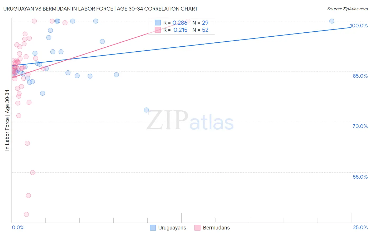 Uruguayan vs Bermudan In Labor Force | Age 30-34