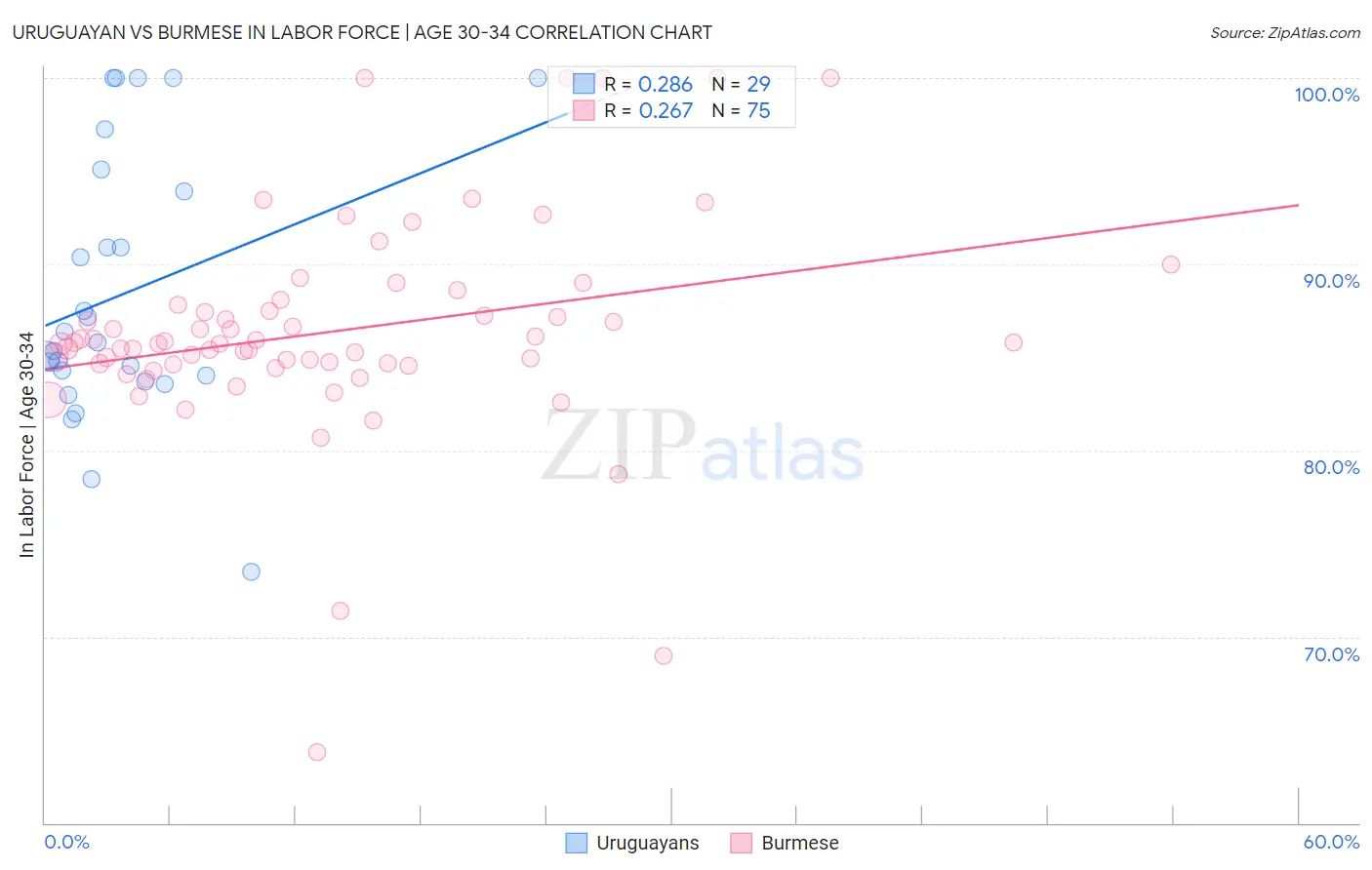 Uruguayan vs Burmese In Labor Force | Age 30-34