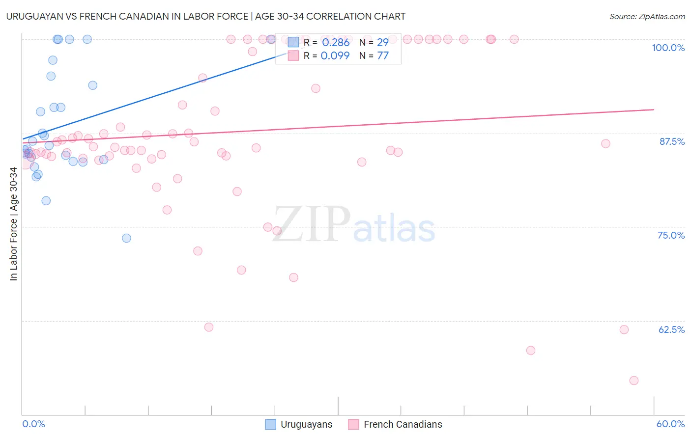 Uruguayan vs French Canadian In Labor Force | Age 30-34