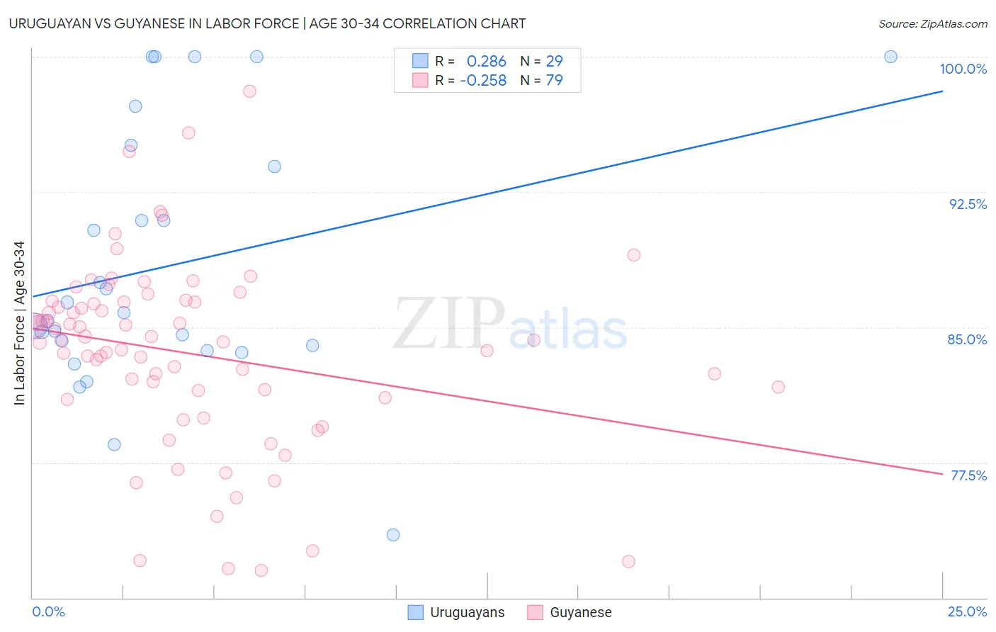 Uruguayan vs Guyanese In Labor Force | Age 30-34
