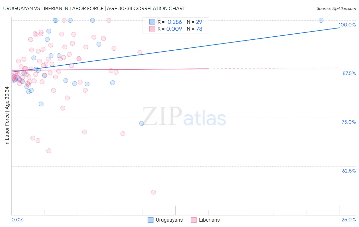 Uruguayan vs Liberian In Labor Force | Age 30-34