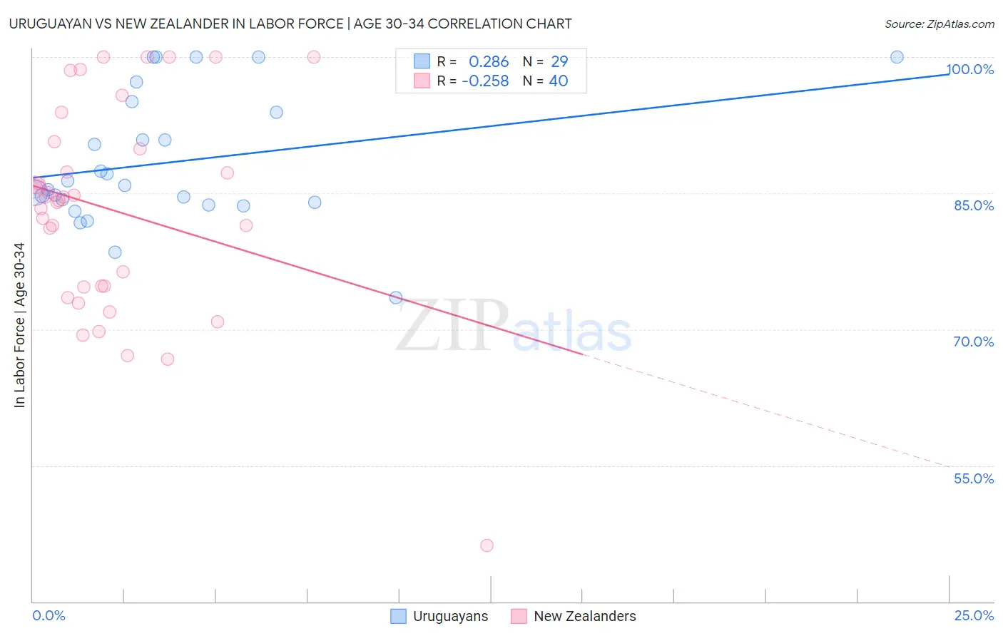 Uruguayan vs New Zealander In Labor Force | Age 30-34