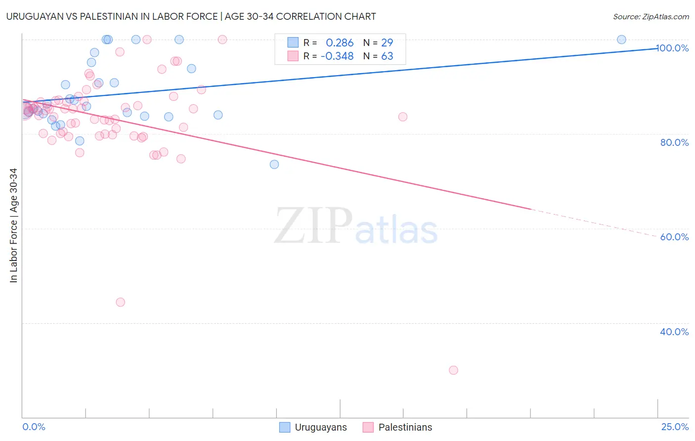 Uruguayan vs Palestinian In Labor Force | Age 30-34