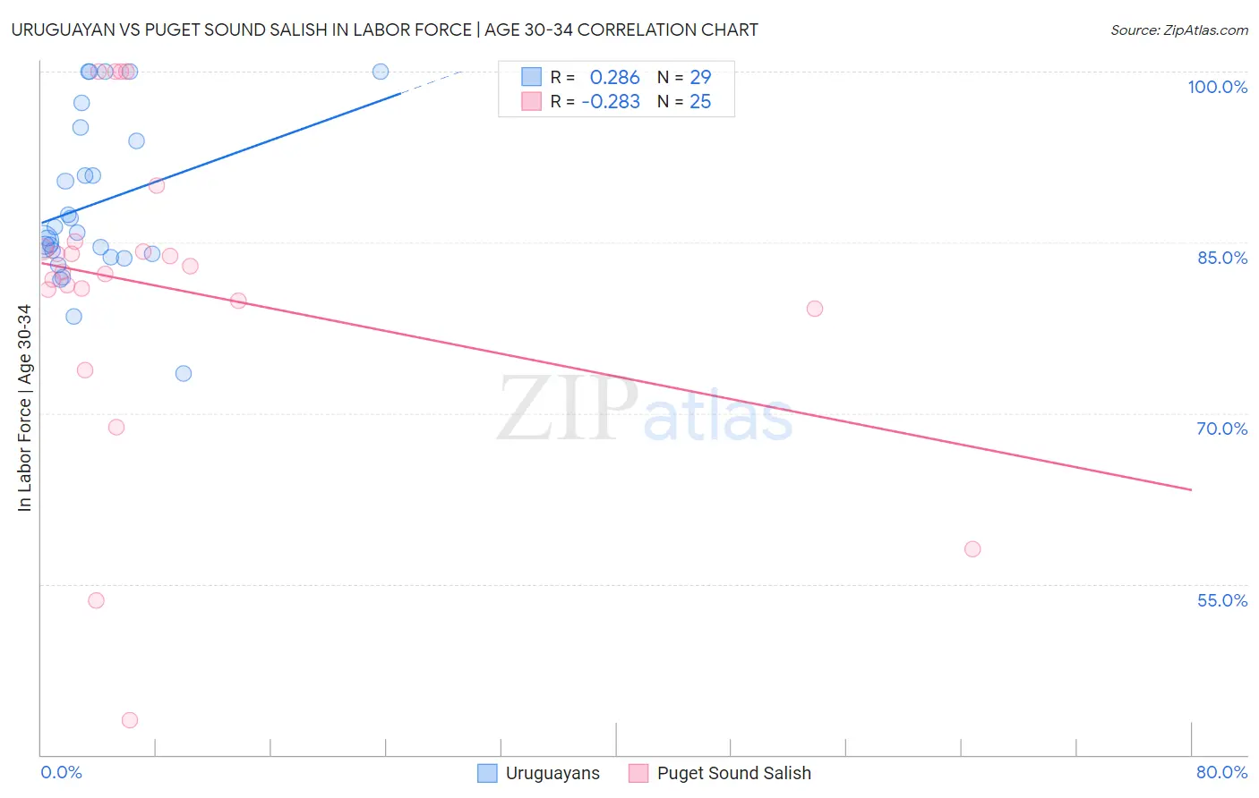 Uruguayan vs Puget Sound Salish In Labor Force | Age 30-34