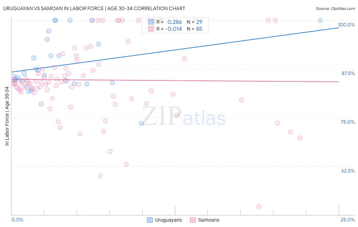 Uruguayan vs Samoan In Labor Force | Age 30-34