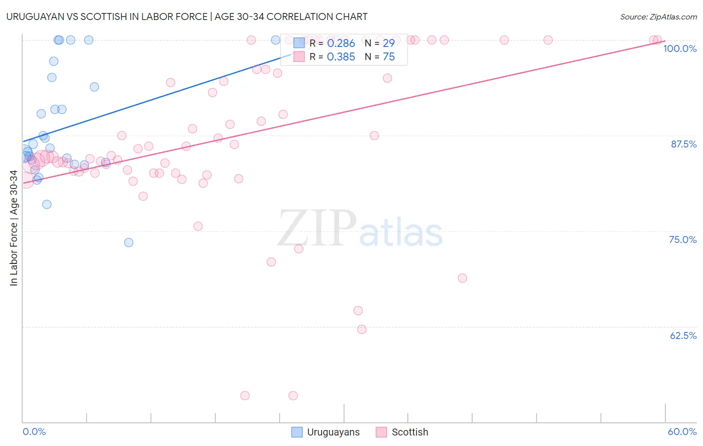 Uruguayan vs Scottish In Labor Force | Age 30-34