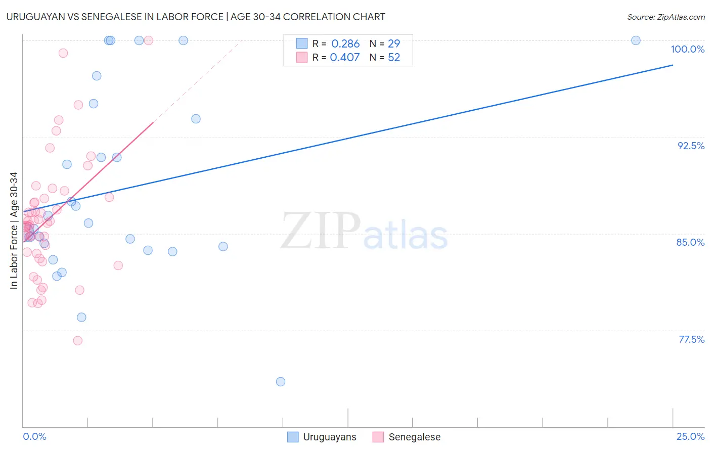 Uruguayan vs Senegalese In Labor Force | Age 30-34