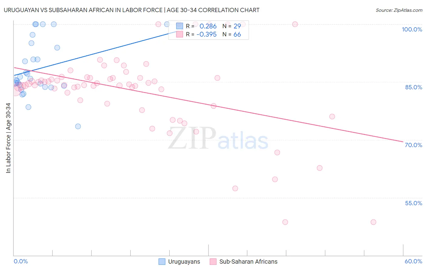 Uruguayan vs Subsaharan African In Labor Force | Age 30-34
