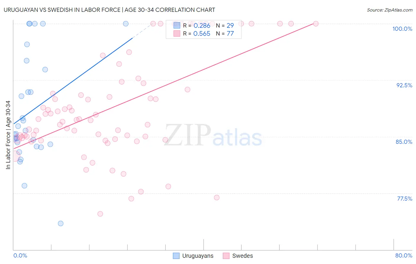 Uruguayan vs Swedish In Labor Force | Age 30-34