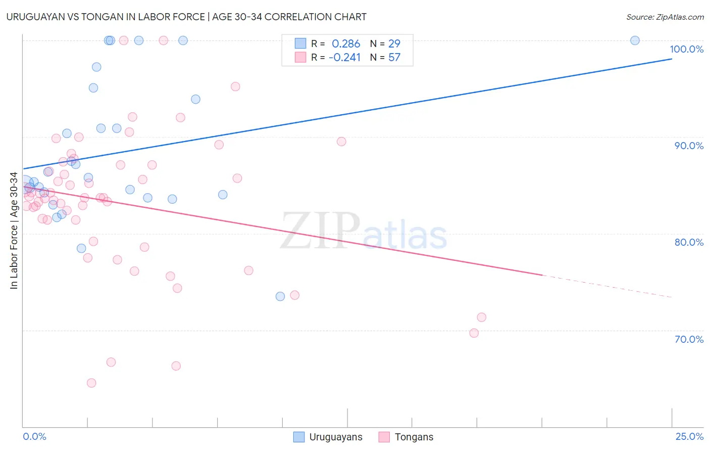 Uruguayan vs Tongan In Labor Force | Age 30-34