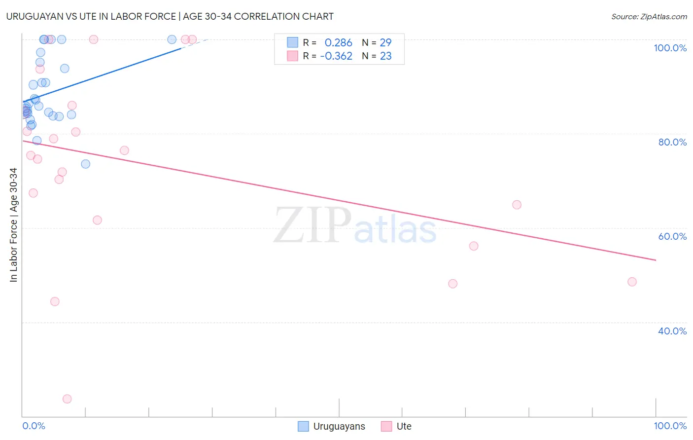 Uruguayan vs Ute In Labor Force | Age 30-34