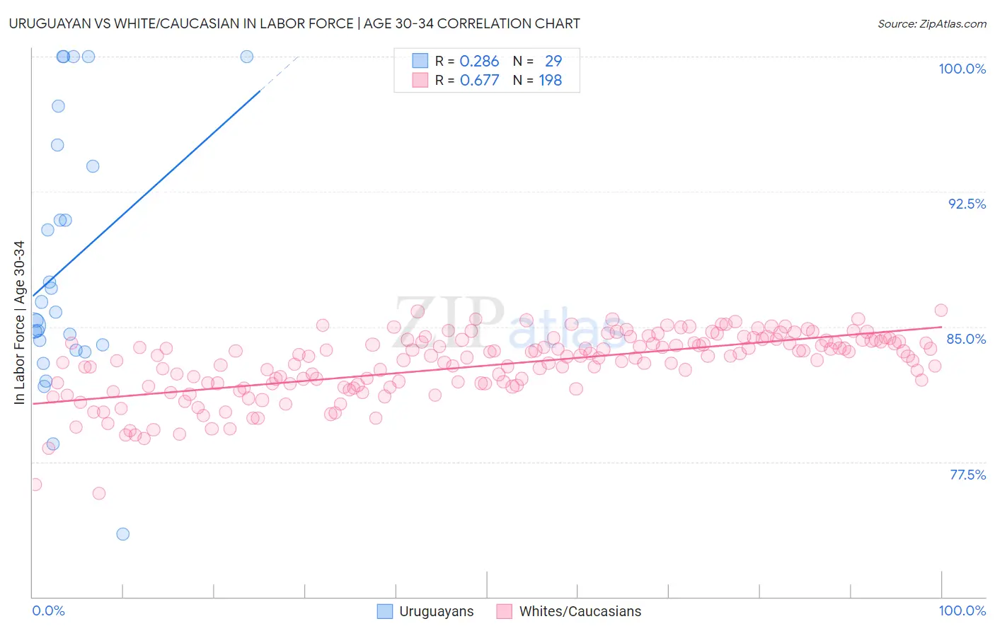 Uruguayan vs White/Caucasian In Labor Force | Age 30-34