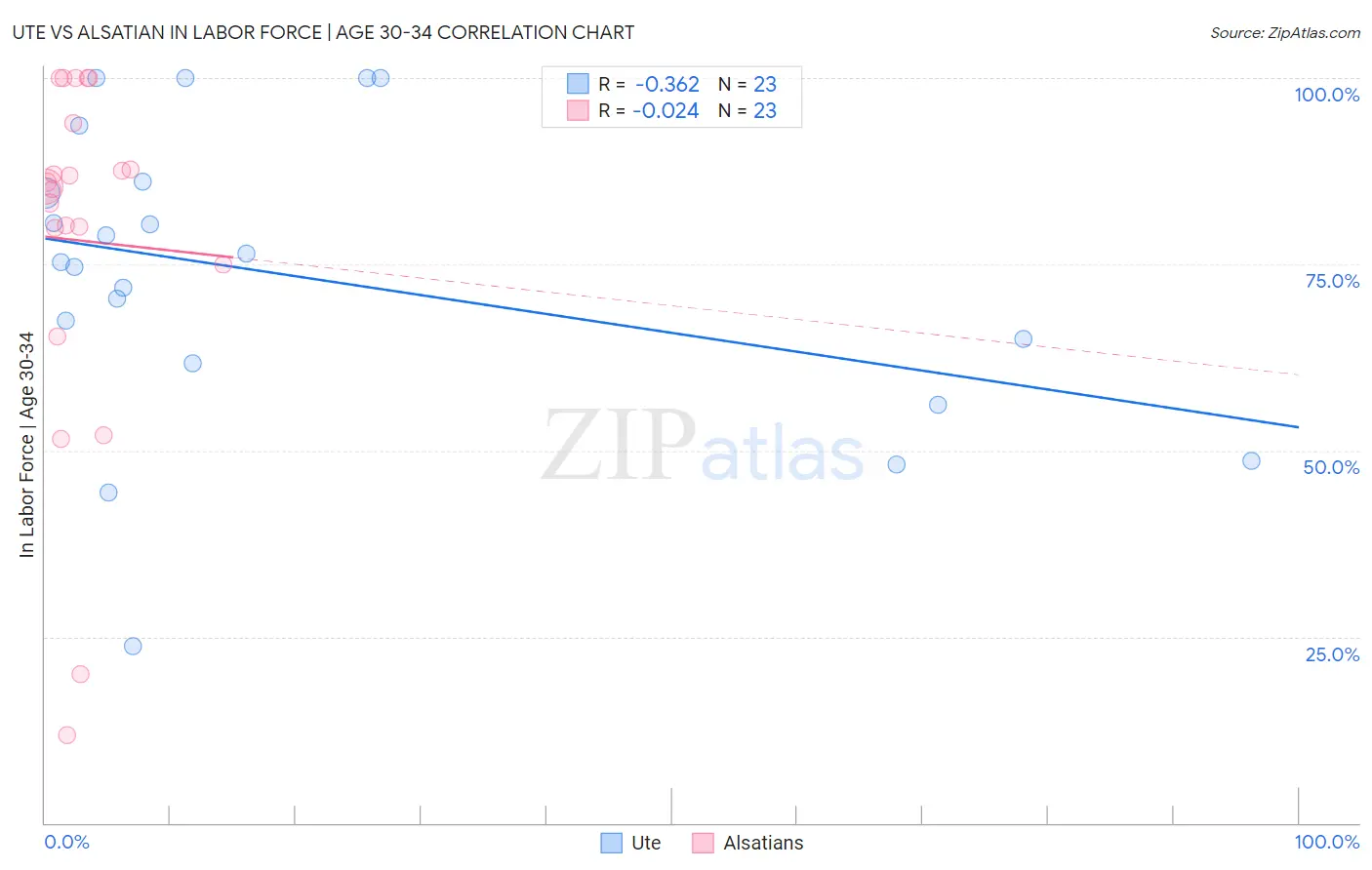 Ute vs Alsatian In Labor Force | Age 30-34