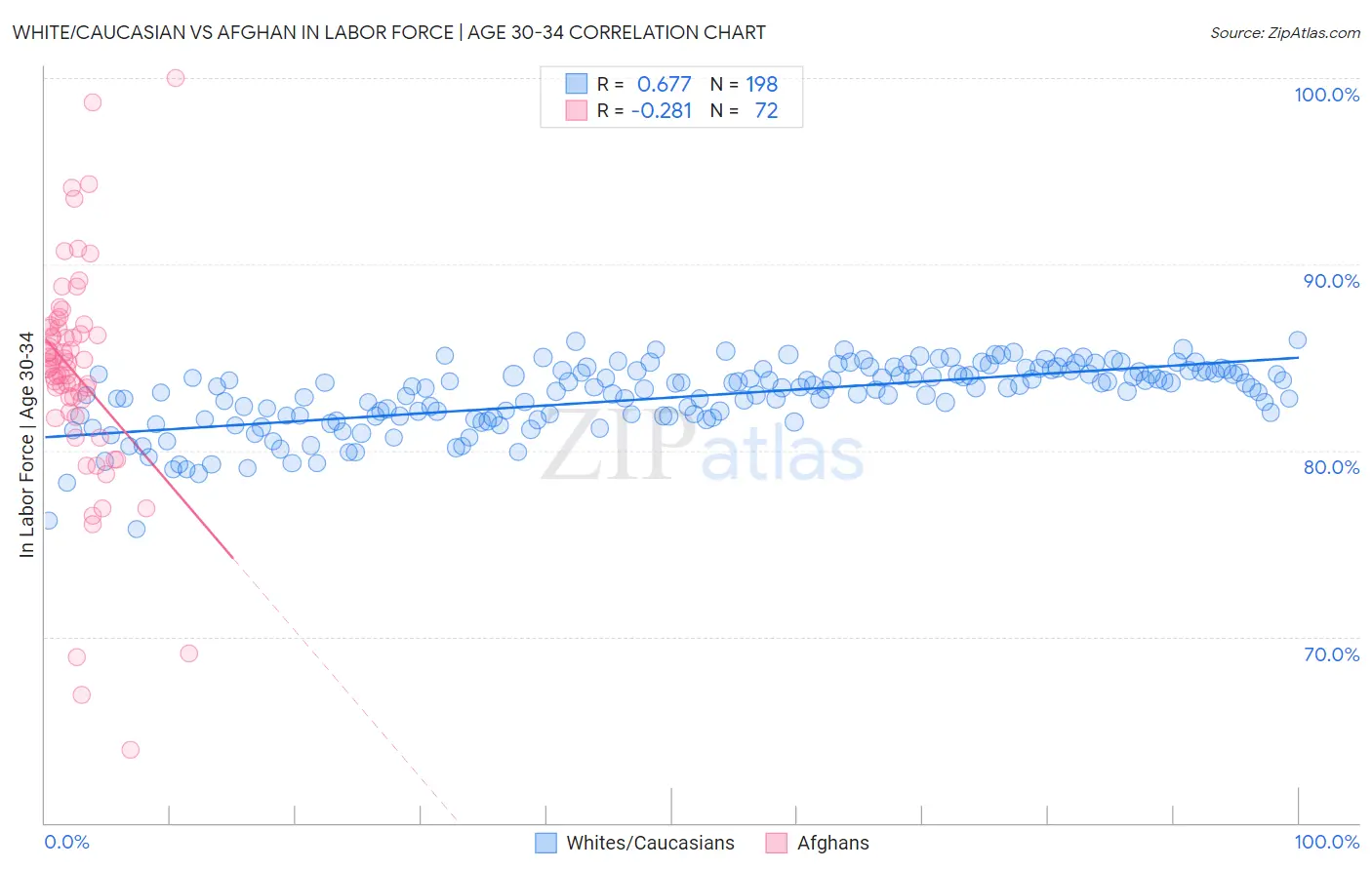 White/Caucasian vs Afghan In Labor Force | Age 30-34