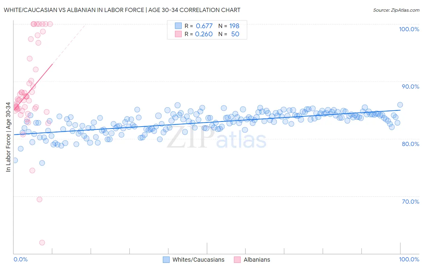 White/Caucasian vs Albanian In Labor Force | Age 30-34