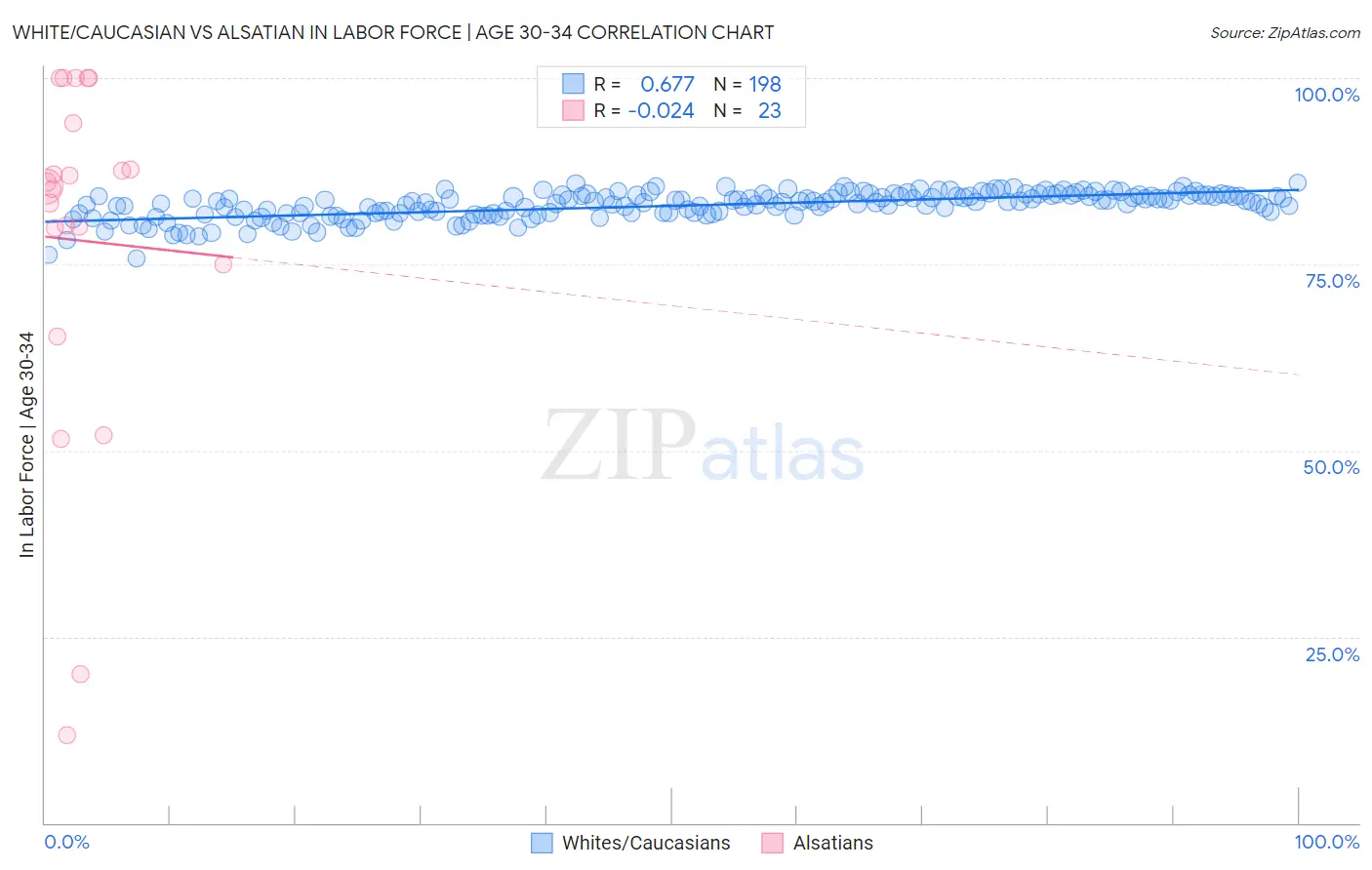 White/Caucasian vs Alsatian In Labor Force | Age 30-34