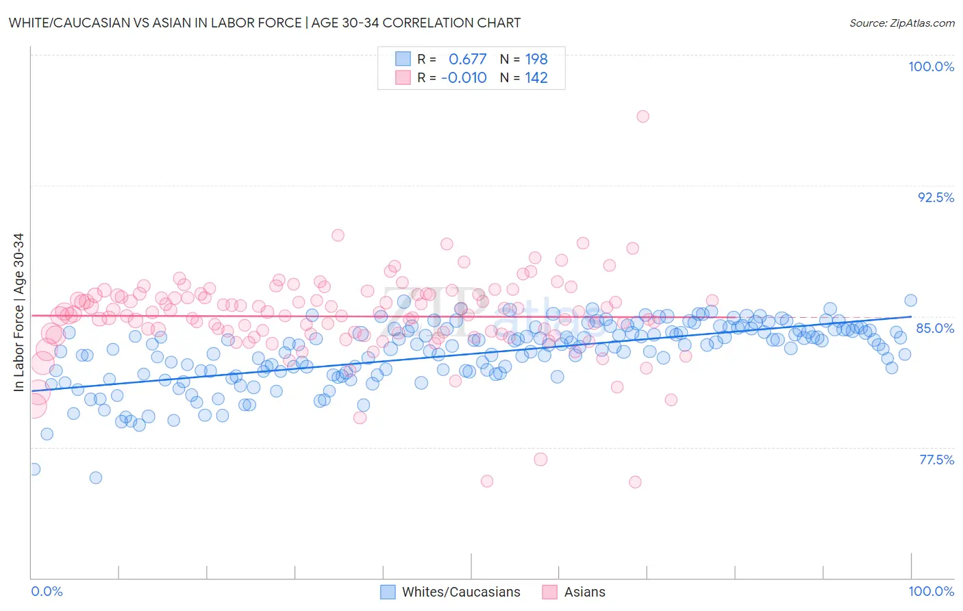 White/Caucasian vs Asian In Labor Force | Age 30-34