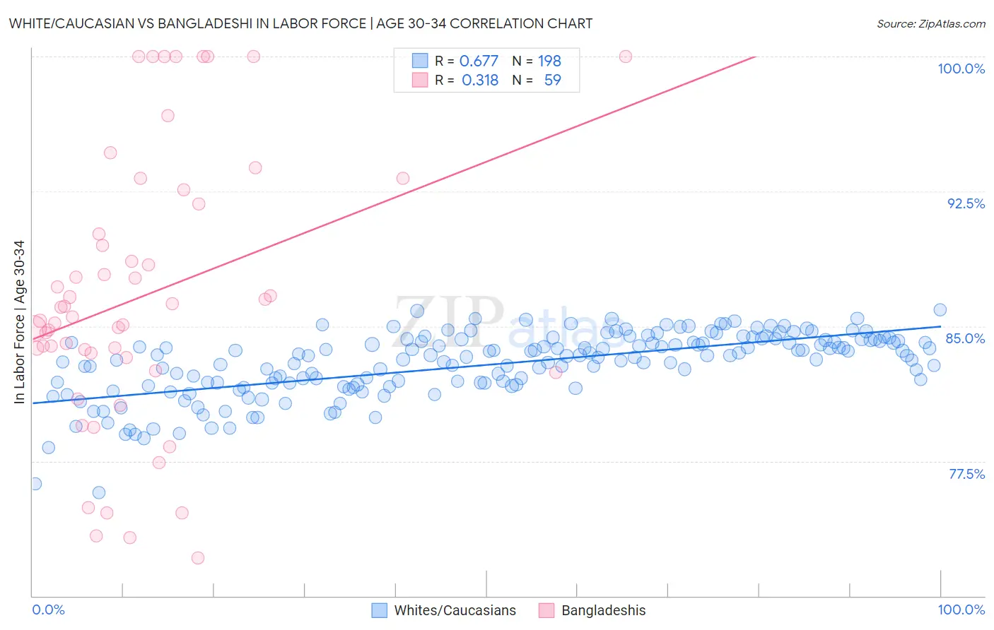 White/Caucasian vs Bangladeshi In Labor Force | Age 30-34