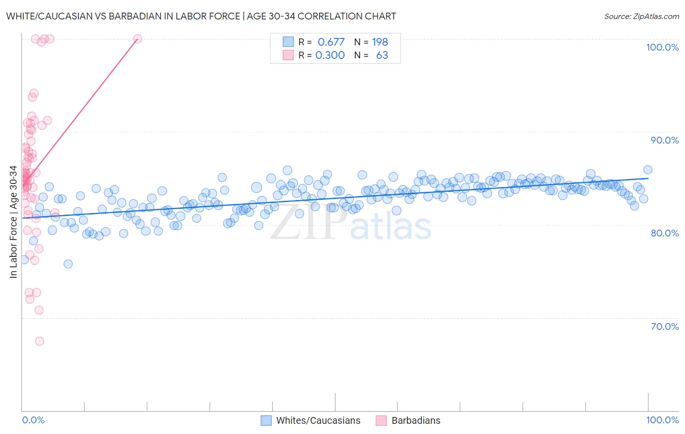 White/Caucasian vs Barbadian In Labor Force | Age 30-34