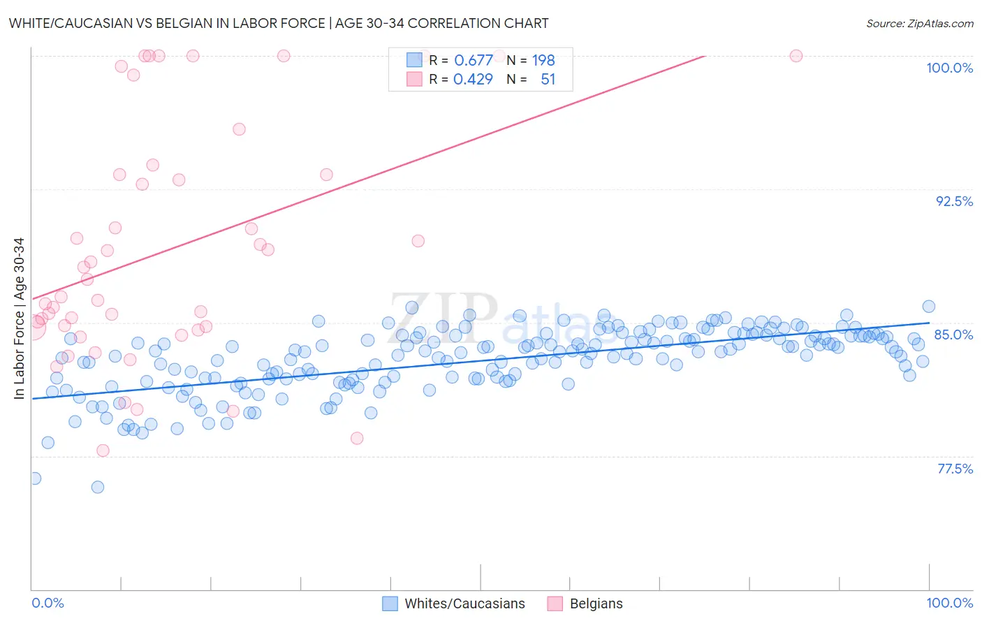 White/Caucasian vs Belgian In Labor Force | Age 30-34