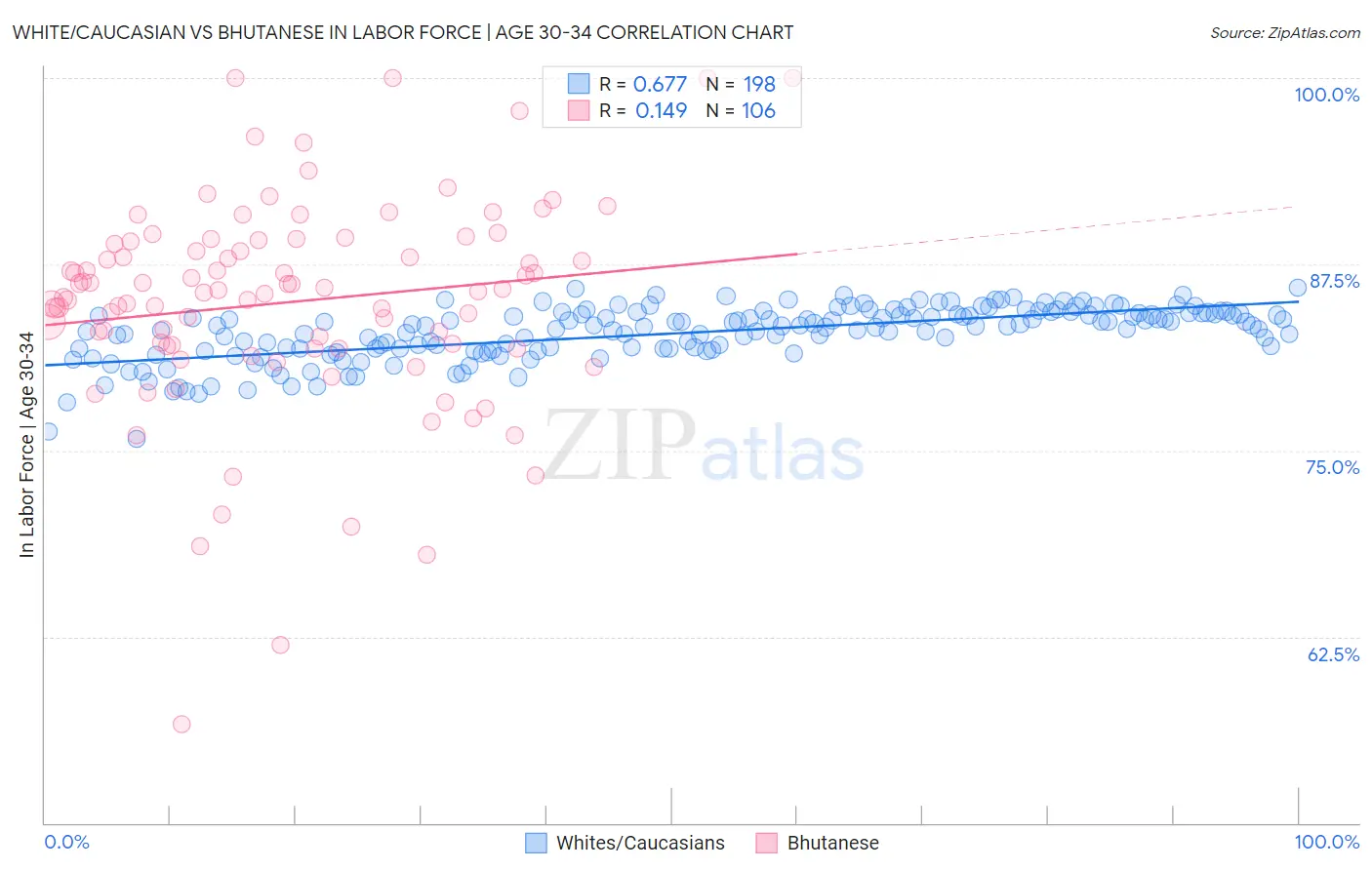 White/Caucasian vs Bhutanese In Labor Force | Age 30-34