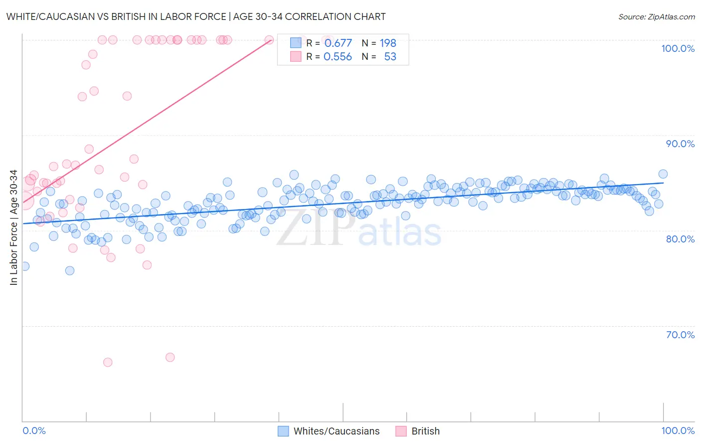 White/Caucasian vs British In Labor Force | Age 30-34