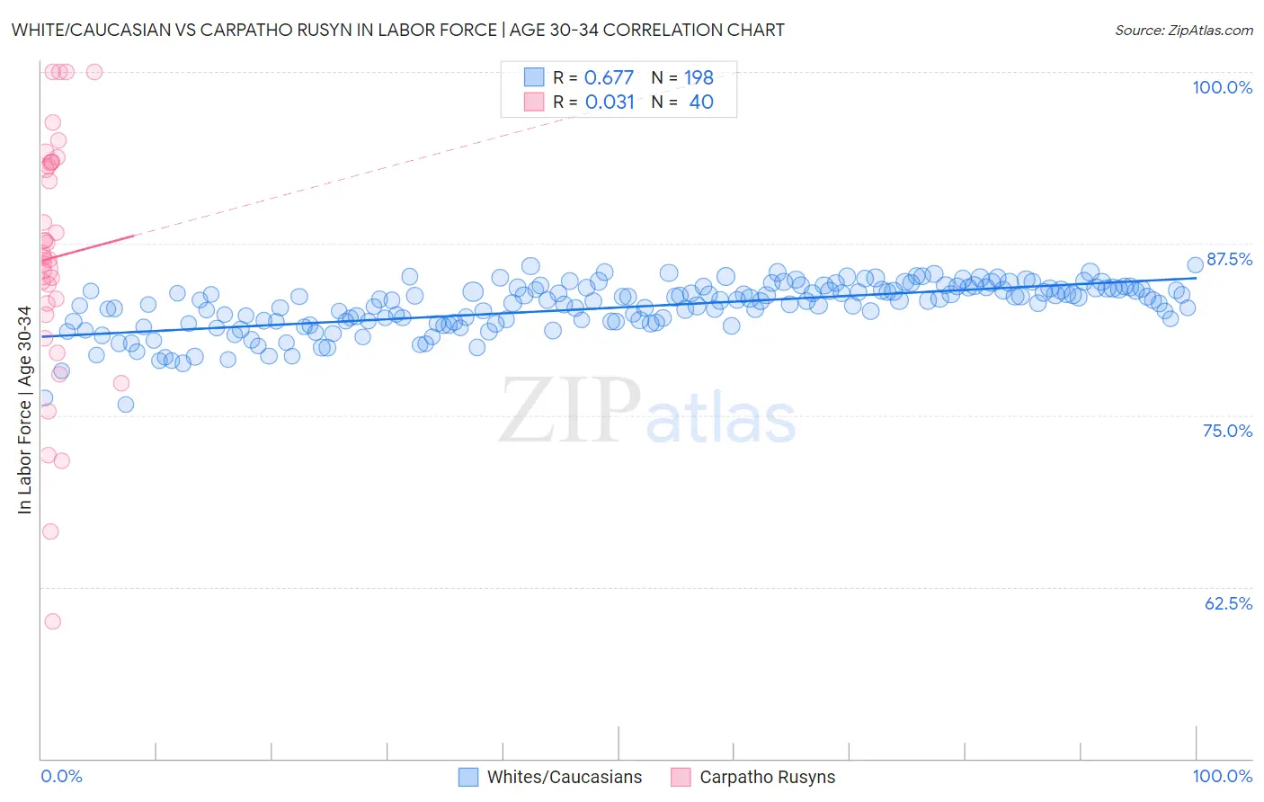 White/Caucasian vs Carpatho Rusyn In Labor Force | Age 30-34