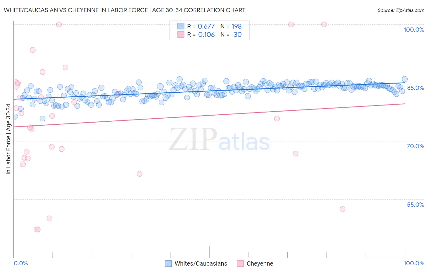 White/Caucasian vs Cheyenne In Labor Force | Age 30-34