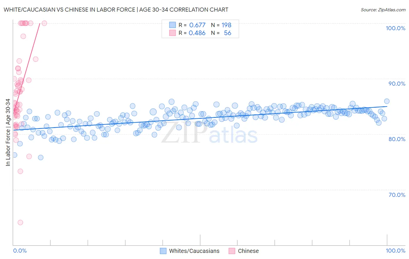 White/Caucasian vs Chinese In Labor Force | Age 30-34