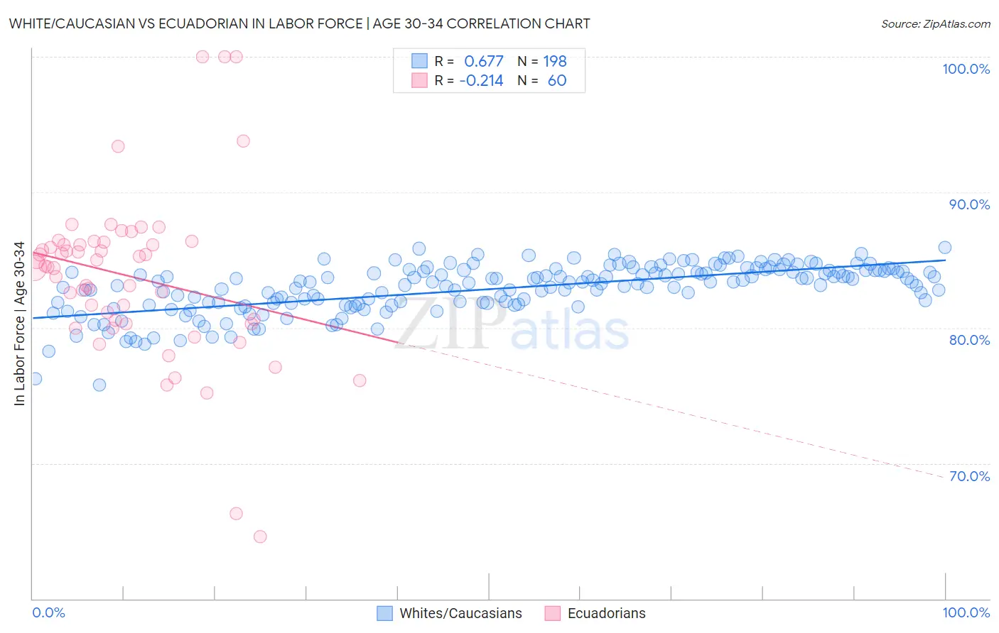 White/Caucasian vs Ecuadorian In Labor Force | Age 30-34