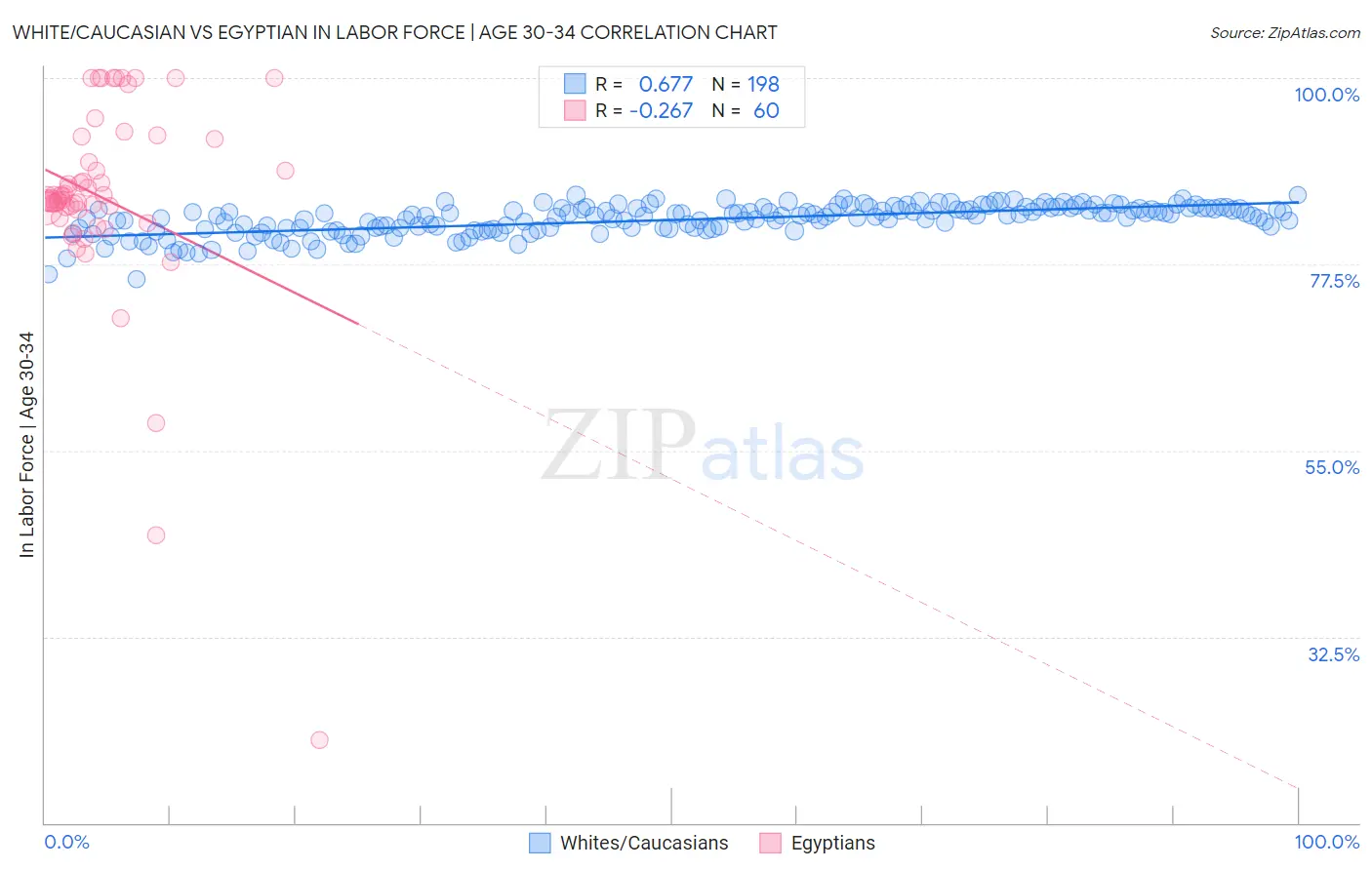 White/Caucasian vs Egyptian In Labor Force | Age 30-34