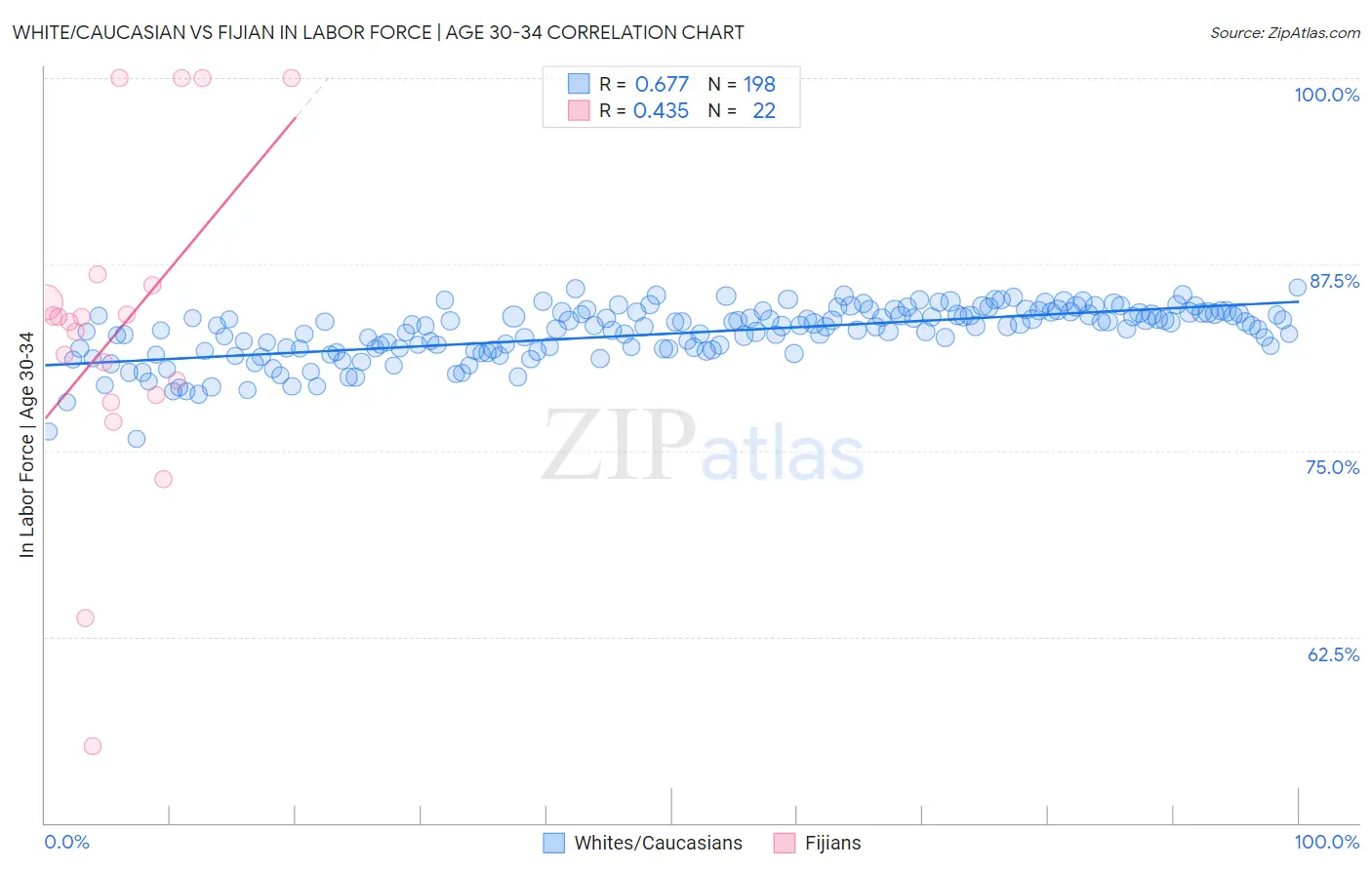 White/Caucasian vs Fijian In Labor Force | Age 30-34