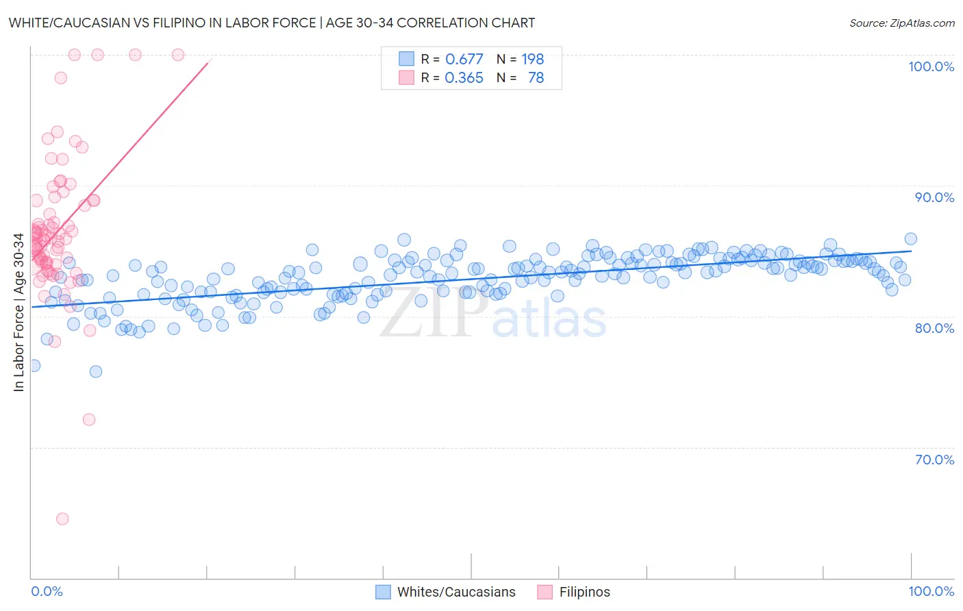 White/Caucasian vs Filipino In Labor Force | Age 30-34