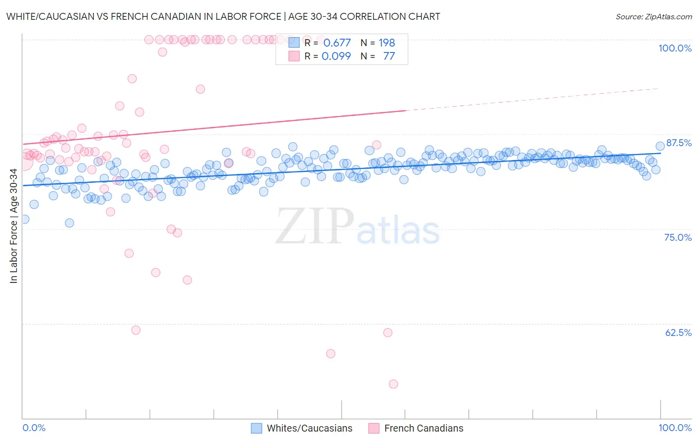 White/Caucasian vs French Canadian In Labor Force | Age 30-34