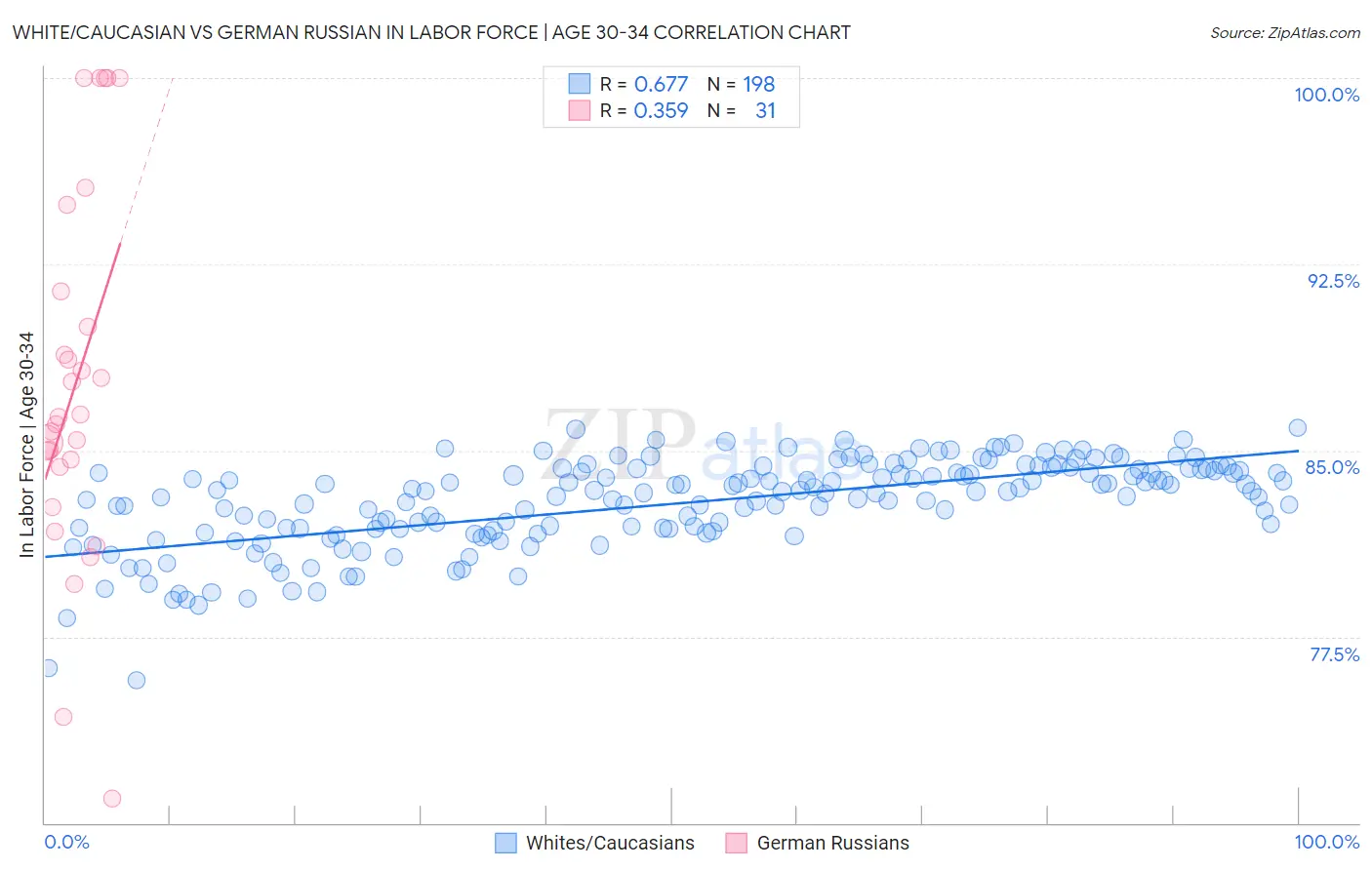 White/Caucasian vs German Russian In Labor Force | Age 30-34