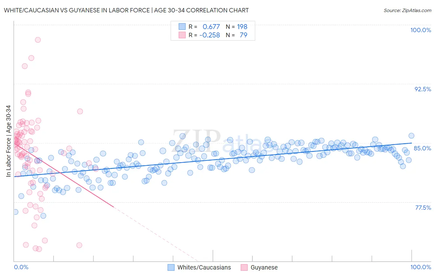 White/Caucasian vs Guyanese In Labor Force | Age 30-34