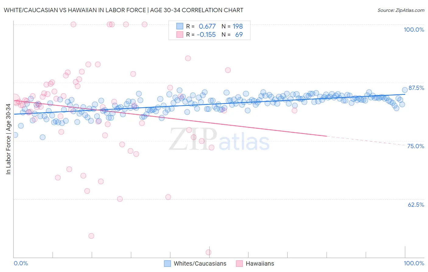 White/Caucasian vs Hawaiian In Labor Force | Age 30-34