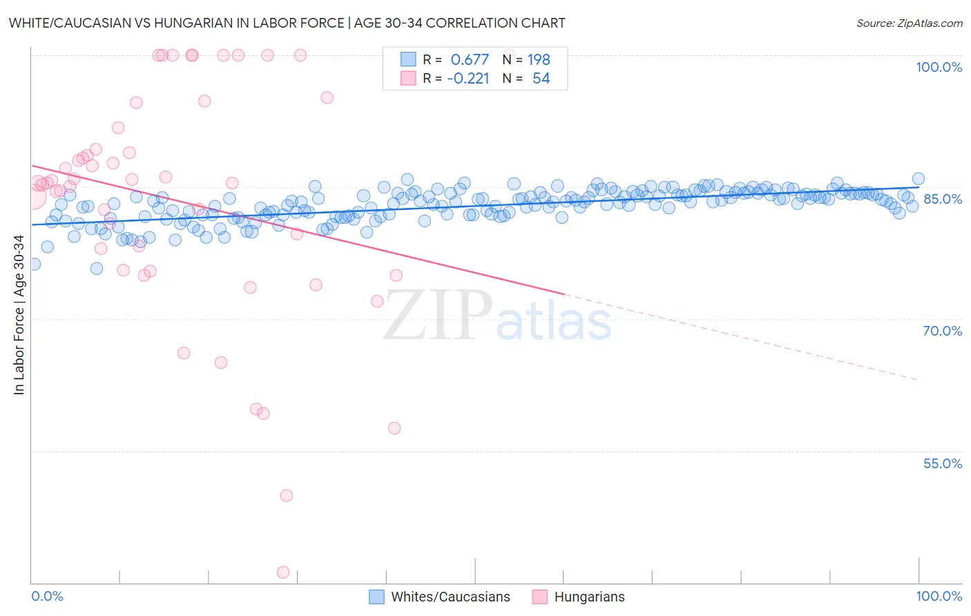 White/Caucasian vs Hungarian In Labor Force | Age 30-34