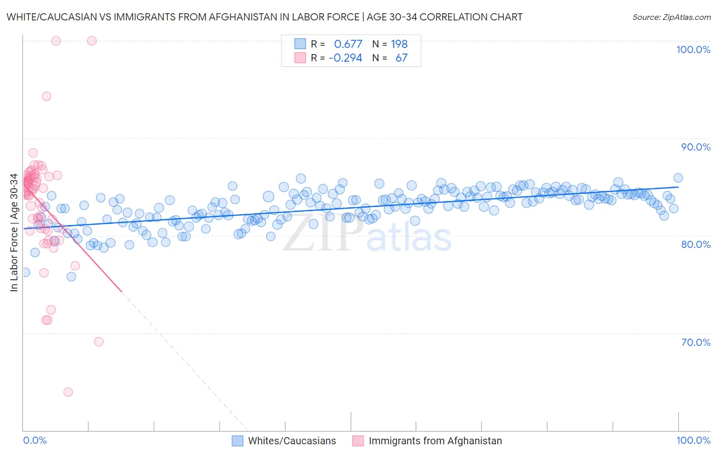 White/Caucasian vs Immigrants from Afghanistan In Labor Force | Age 30-34