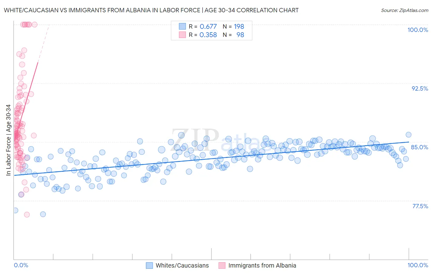 White/Caucasian vs Immigrants from Albania In Labor Force | Age 30-34