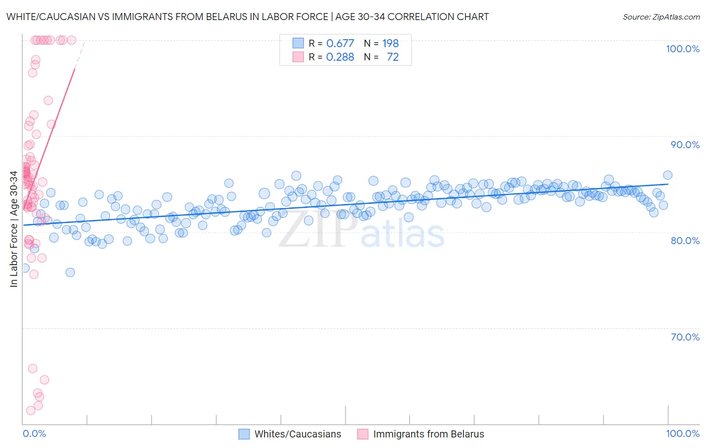 White/Caucasian vs Immigrants from Belarus In Labor Force | Age 30-34