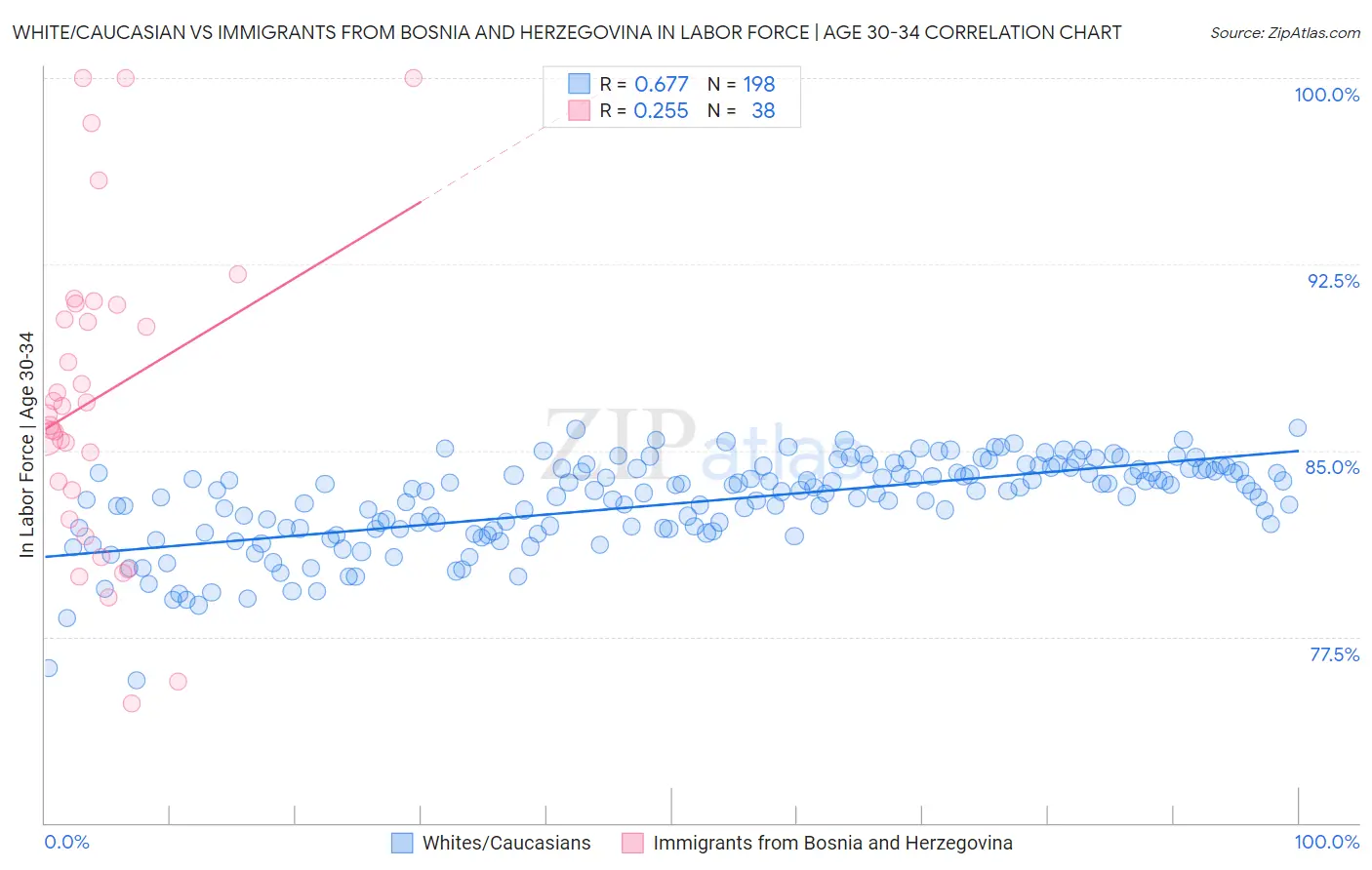 White/Caucasian vs Immigrants from Bosnia and Herzegovina In Labor Force | Age 30-34