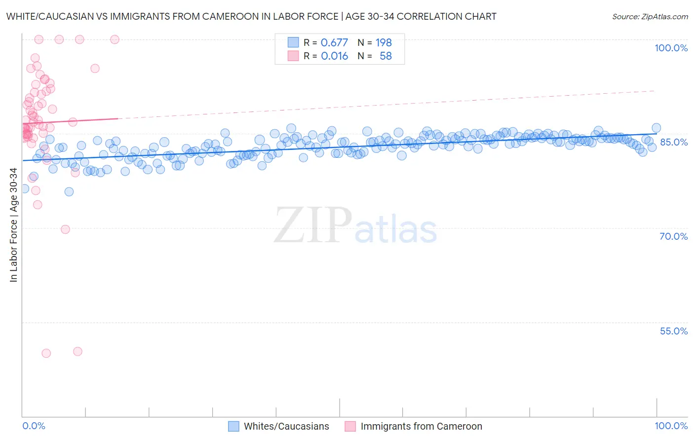 White/Caucasian vs Immigrants from Cameroon In Labor Force | Age 30-34