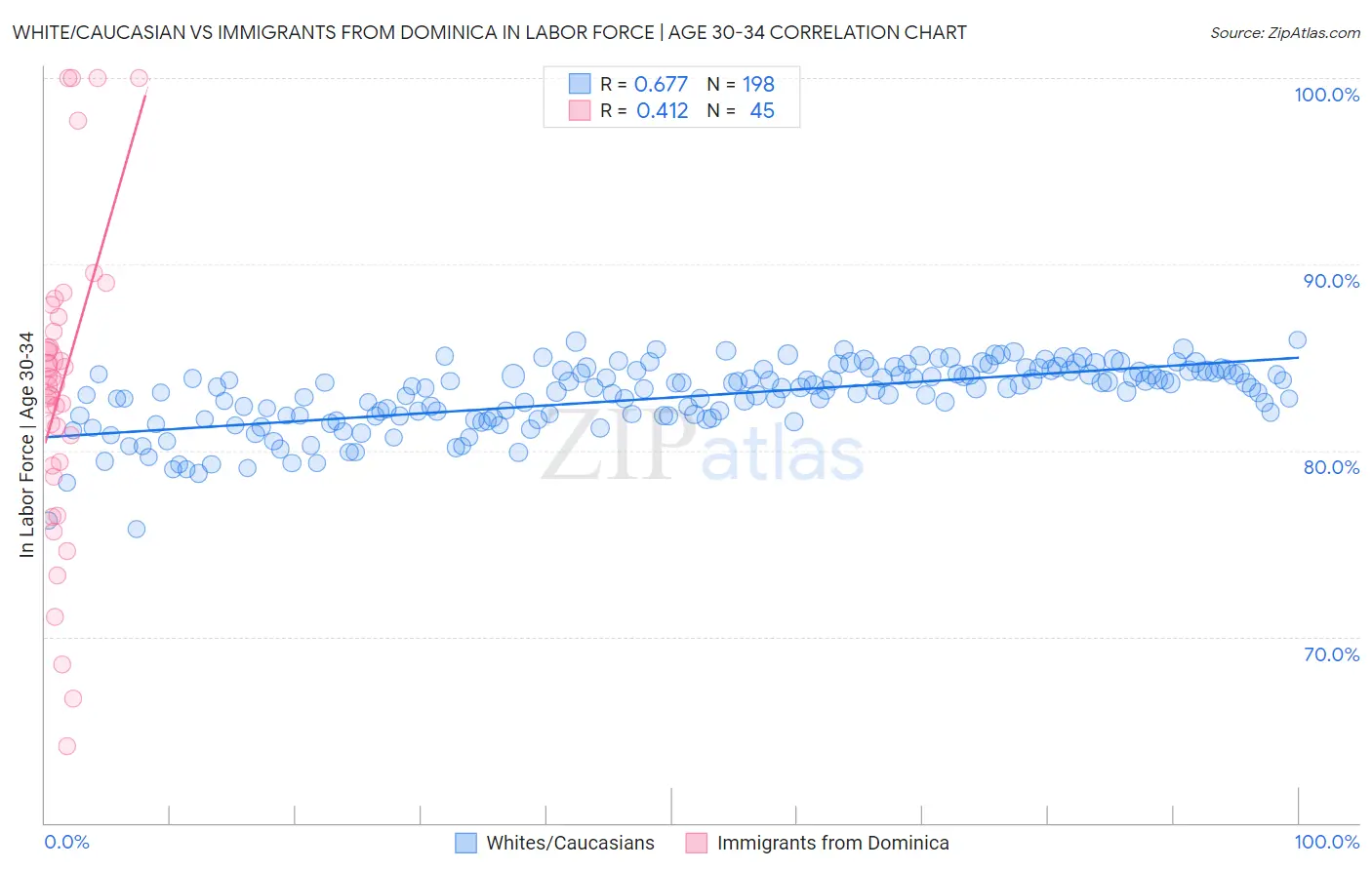White/Caucasian vs Immigrants from Dominica In Labor Force | Age 30-34