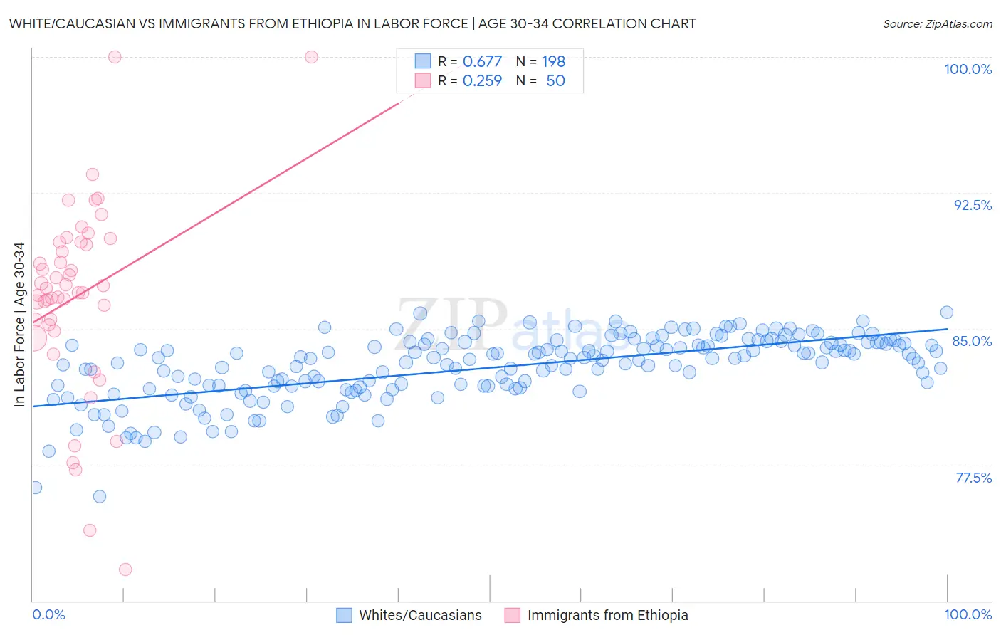 White/Caucasian vs Immigrants from Ethiopia In Labor Force | Age 30-34