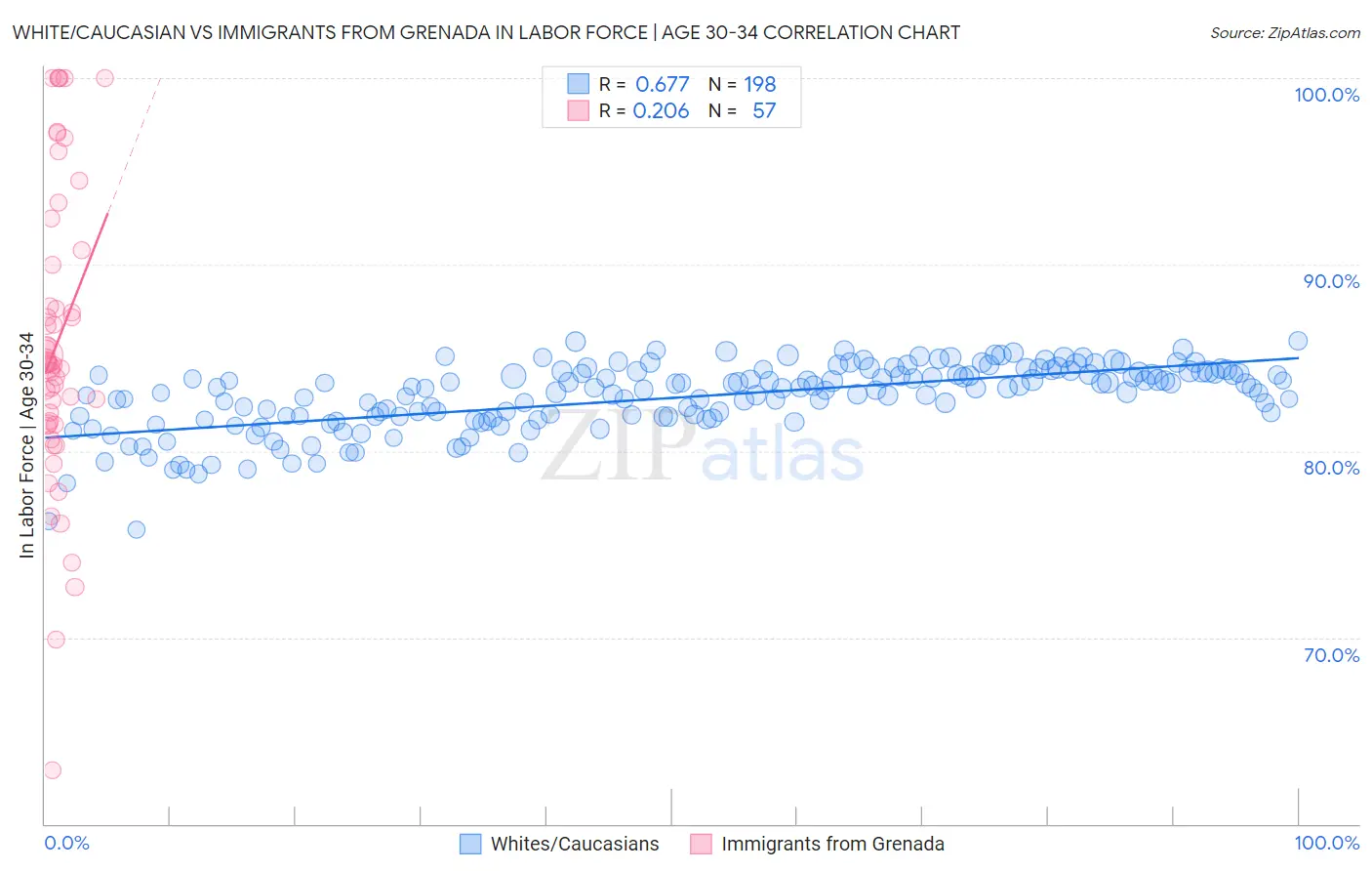 White/Caucasian vs Immigrants from Grenada In Labor Force | Age 30-34