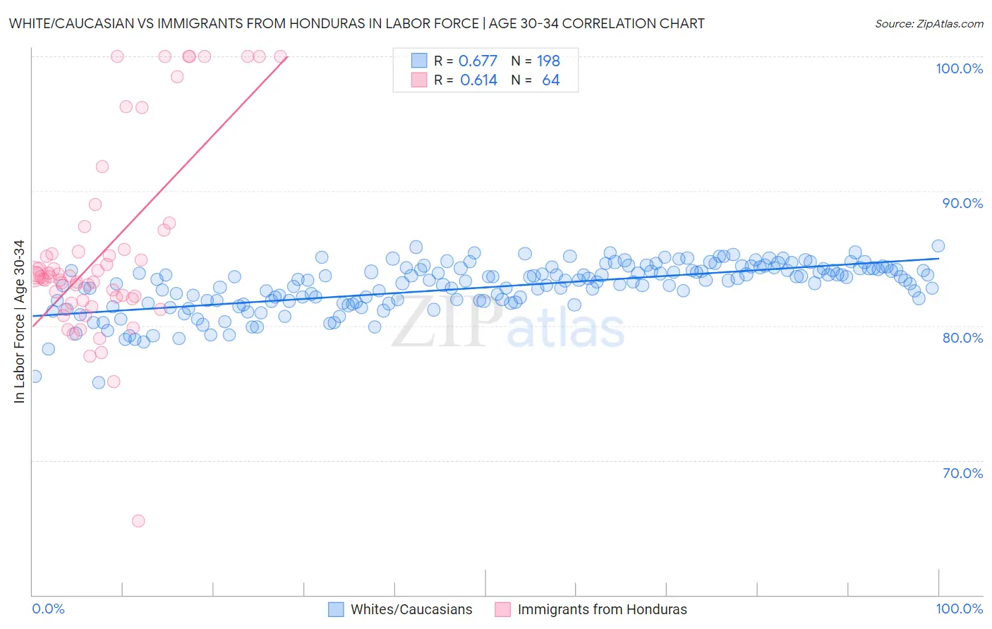 White/Caucasian vs Immigrants from Honduras In Labor Force | Age 30-34