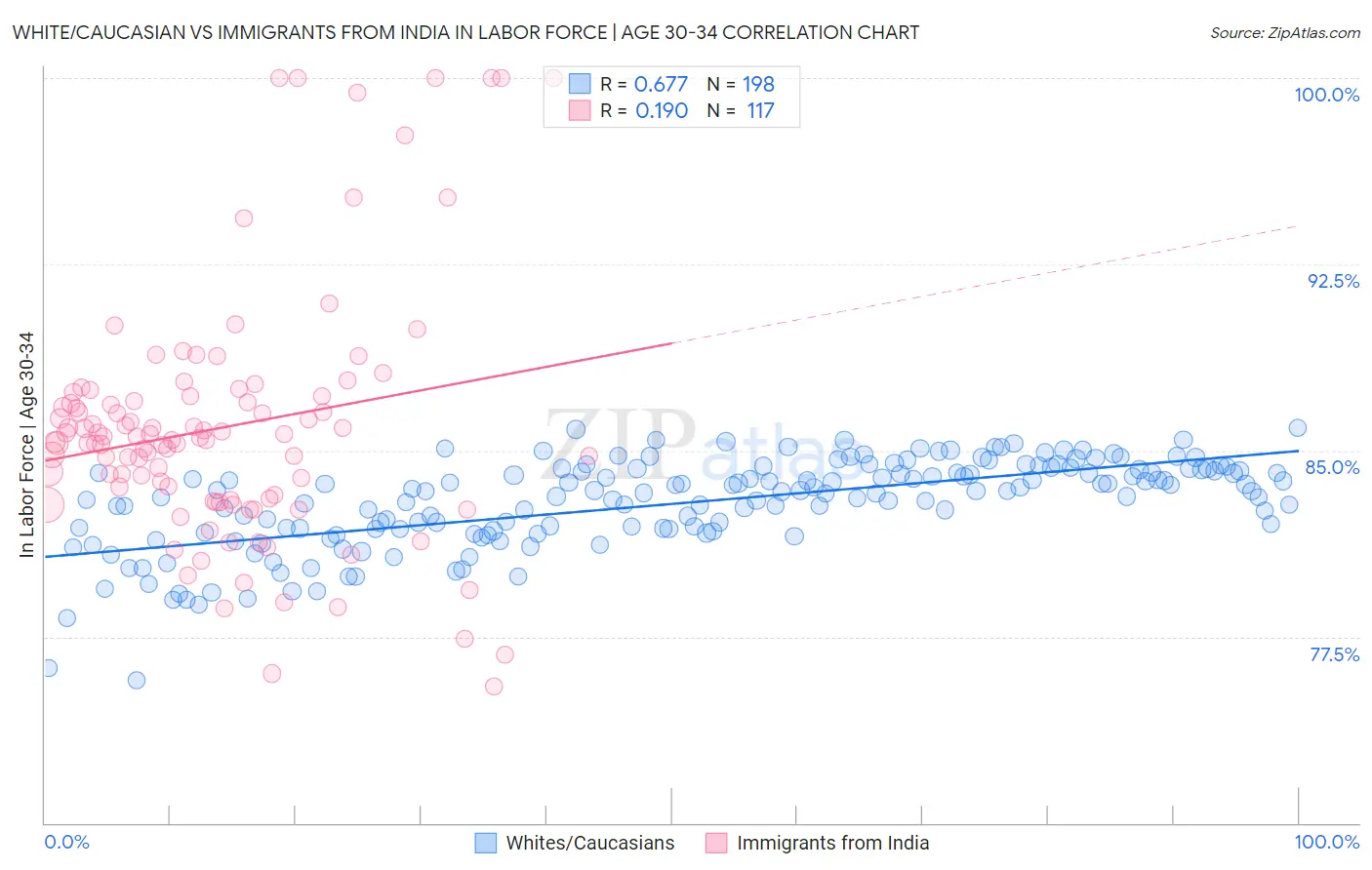 White/Caucasian vs Immigrants from India In Labor Force | Age 30-34