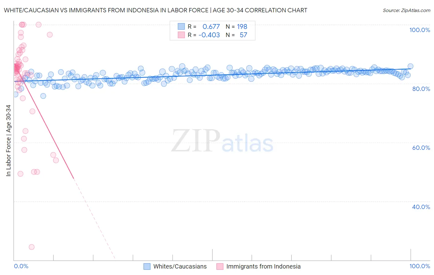 White/Caucasian vs Immigrants from Indonesia In Labor Force | Age 30-34