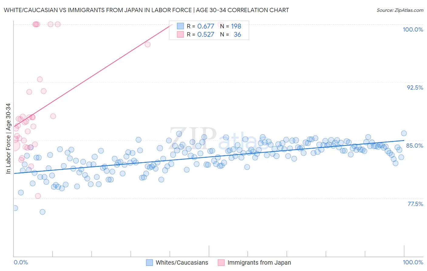 White/Caucasian vs Immigrants from Japan In Labor Force | Age 30-34
